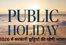 Public Holidays