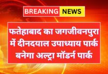 Fatehabad News