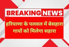 Haryana News